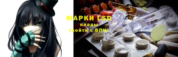 гашик Новокубанск