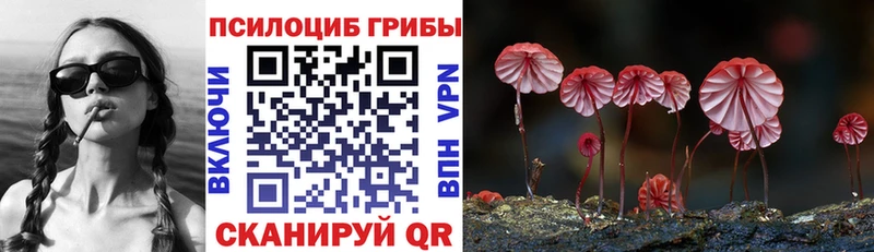 дарк нет формула  наркотики  Нарьян-Мар  Галлюциногенные грибы прущие грибы 
