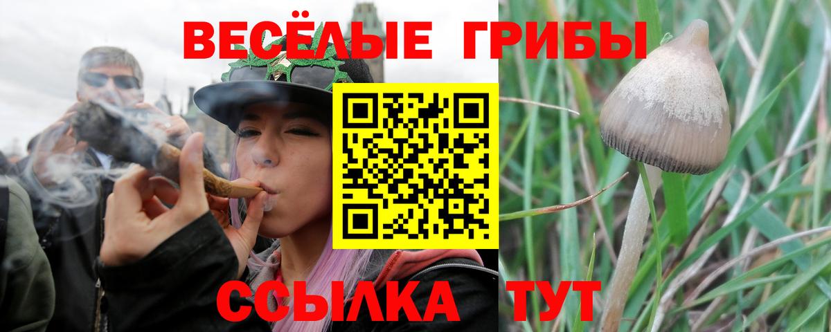 Псилоцибиновые грибы Psilocybe  Вход с VPN  Нарьян-Мар 